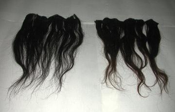 Human Hair, Goat Hair, Horse Hair & Camel Hair