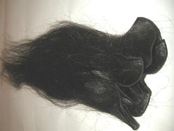 Human Hair, Goat Hair, Horse Hair & Camel Hair