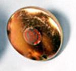 Auto parts