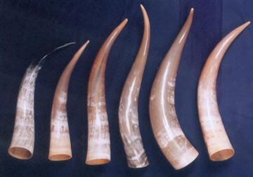 Horn Decorative Item
