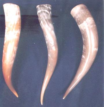 Horn Decorative Item