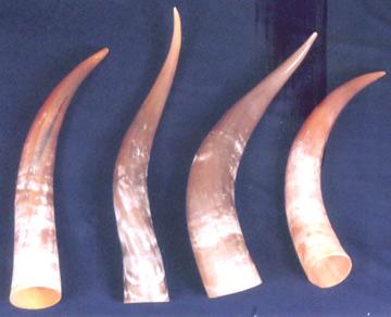 Horn Decorative Item