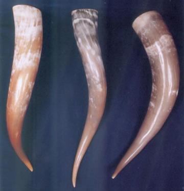 Horn Decorative Item
