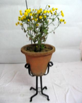 फ्लावर वेज होल्ड