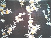 Made-ups - Silk Organza
