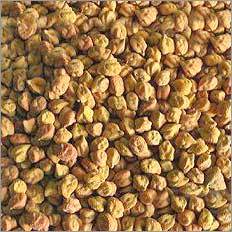 Kala Channa