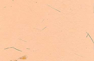 Flower Mottled Paper