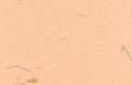 Flower Mottled Paper