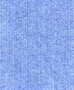 Fancy/Ring/Slub Denim