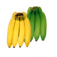 Indian Banana Indian Banana