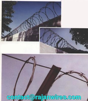 Punched Tape Concertina Coils