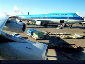 Freight forwarding, cargo clearing services, shipping, and logistics solutions