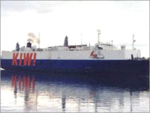 Freight forwarding, cargo clearing services, shipping, and logistics solutions