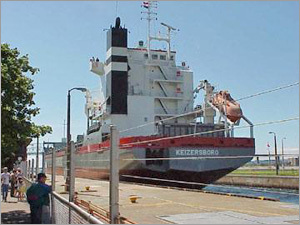 Freight forwarding, cargo clearing services, shipping, and logistics solutions