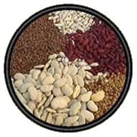 Pulses