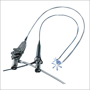Endoscope