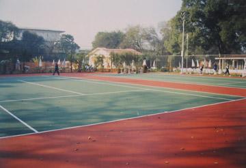 Tennis Court Surface