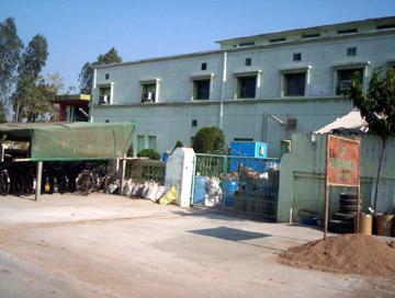 Company building