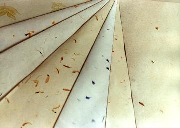 Envelopes