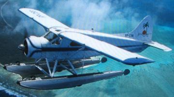 Freight Clearing And Forwarding Agents