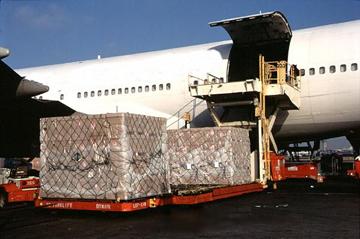 AIR CONSOLIDATION - Unit Load Air Pallet, Scheduled Frequent Routing | Secure Handling, Customs Support, Door-to-Door, Global Network