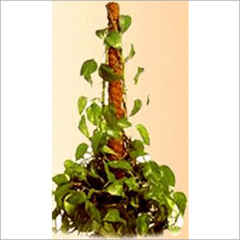 Coir Poles