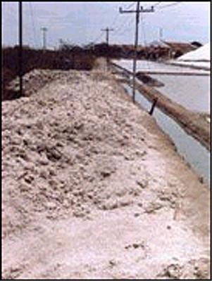 GYPSUM
