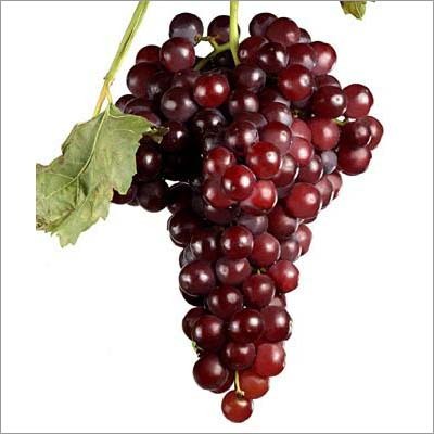 Grapes