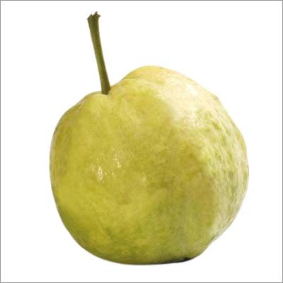 Guava