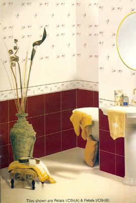 Bathroom Tiles