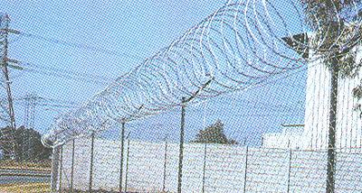 Fencing Wires & Coils