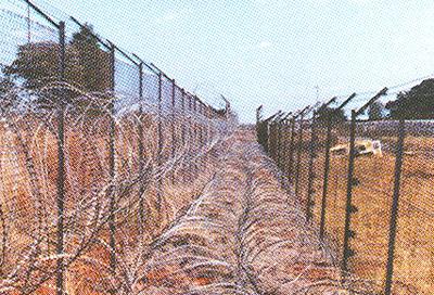Fencing Wires & Coils