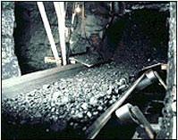Conveyor Belts
