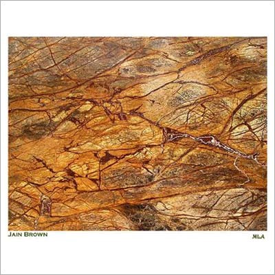 Rain Forest Brown