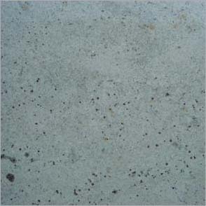 Kashmir White