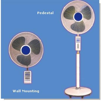 Fan