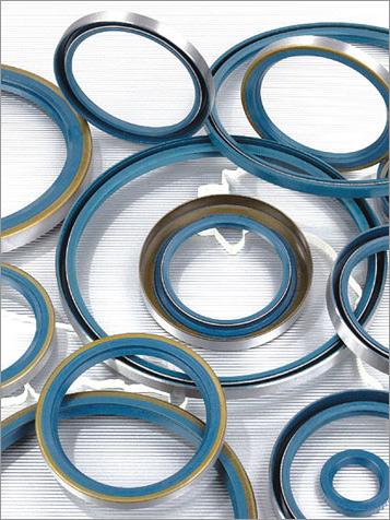Oil Seals