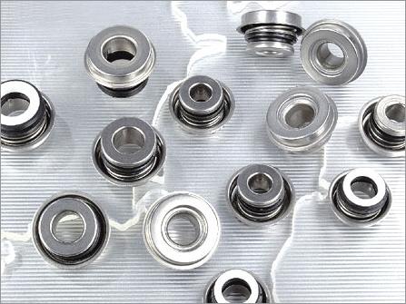 Oil Seals