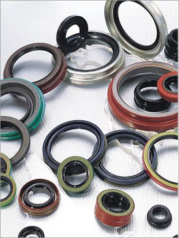Oil Seals