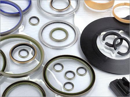 Oil Seals