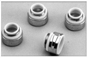 Valve Seals