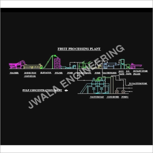 Automatic Fruit Processing Plant