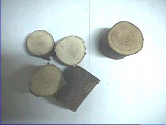 Wood - Firewood