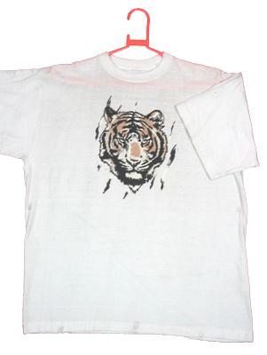 Transfers & Printings on Garments