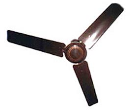 Popular Ceiling Fan