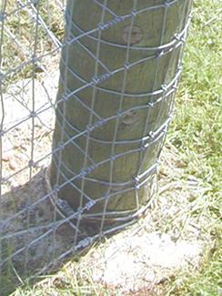 Wrap Fencing