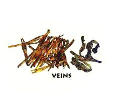 Dog Food - Veins