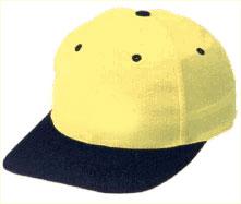 6 Panel Taslan Cap