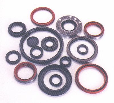 Oil Seals & O-Rings