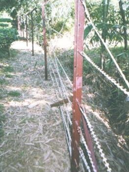 Razor Wire RBT
